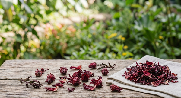 Hibiscus
