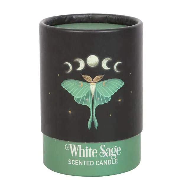 Luna Moth White Sage Candle Something Different Wholesale