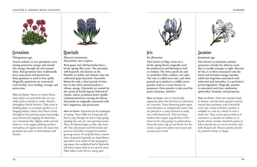 Green Witch's Garden by Arin Murphy-Hiscock: Hardcover; 224 pages / English Simon & Schuster