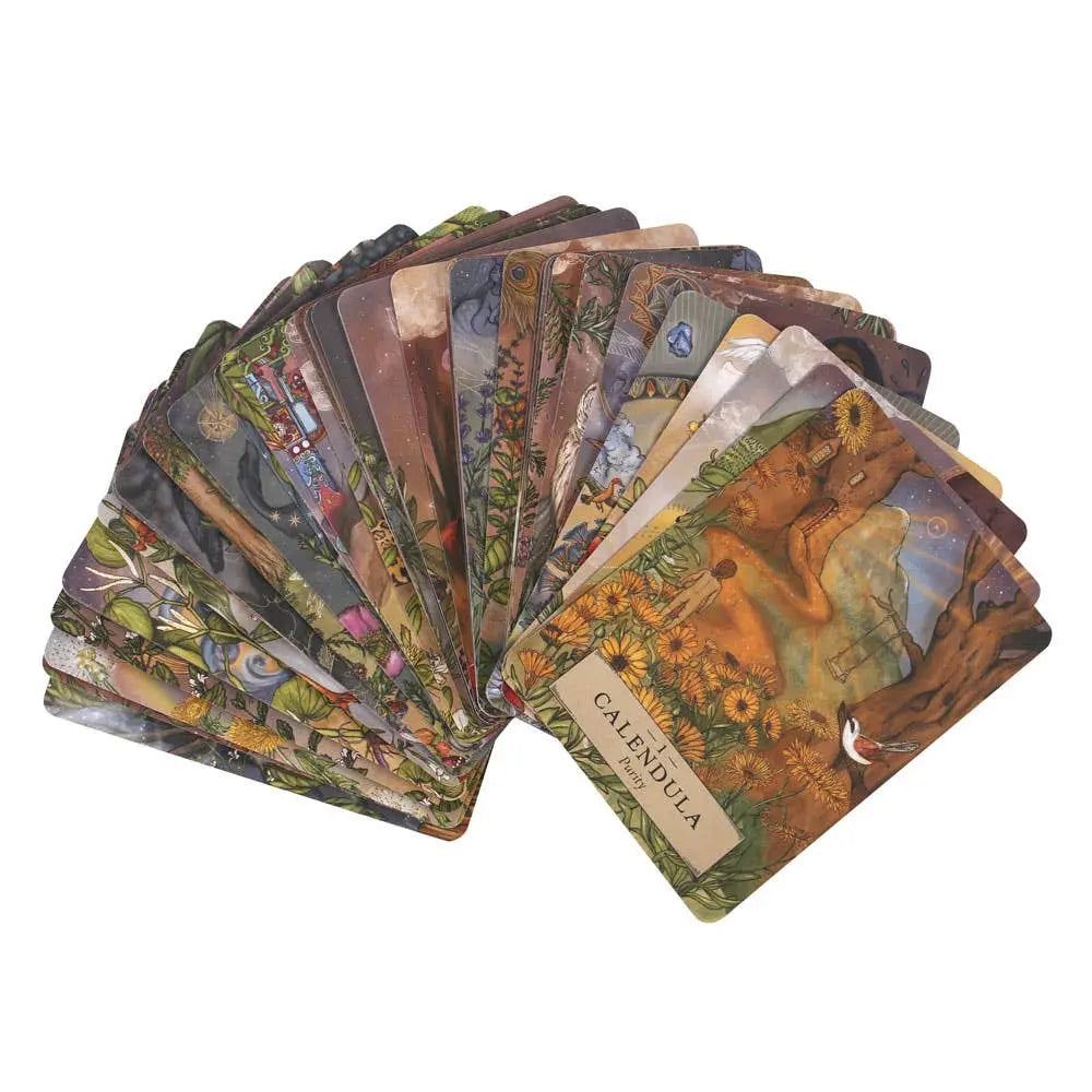 The Herbal Astrology Oracle Cards Something Different Wholesale