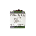 persephone, pomegranate, ylang, poppy, natural soap, botanicals, butters
