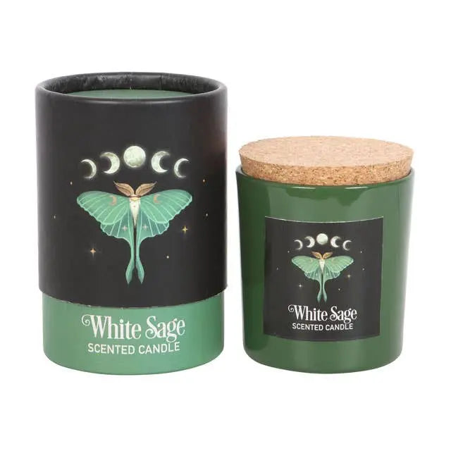 Luna Moth White Sage Candle Something Different Wholesale