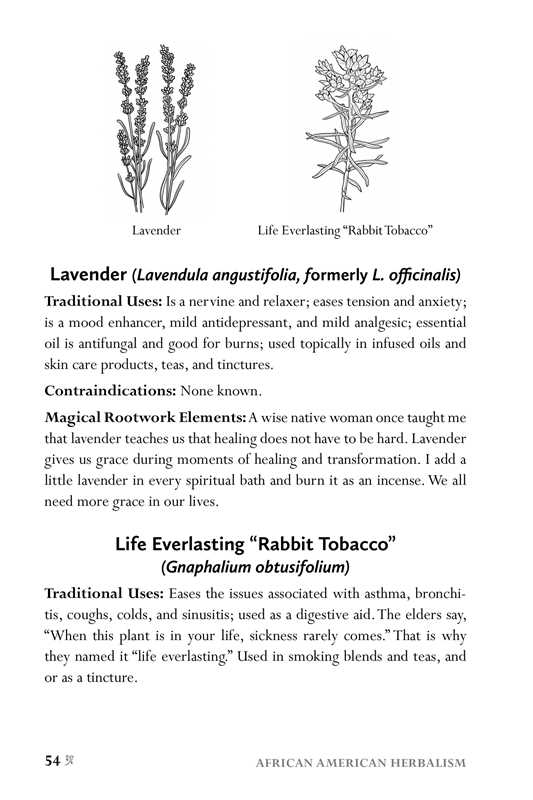 African American Herbalism by Lucretia VanDyke: Paperback; 200 pages / English - Luna & Co. SoaperyHerbs & BotanicalsSimon & SchusterLuna & Co. Soapery