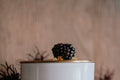 Blackberry & Saffron l Gold Lid Candle & Boutique Box - Luna & Co. SoaperyWoodsy HomelifeLuna & Co. Soapery
