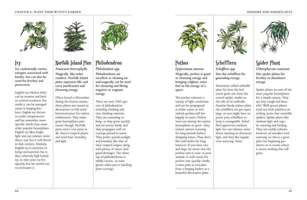 Green Witch's Garden by Arin Murphy-Hiscock: Hardcover; 224 pages / English Simon & Schuster