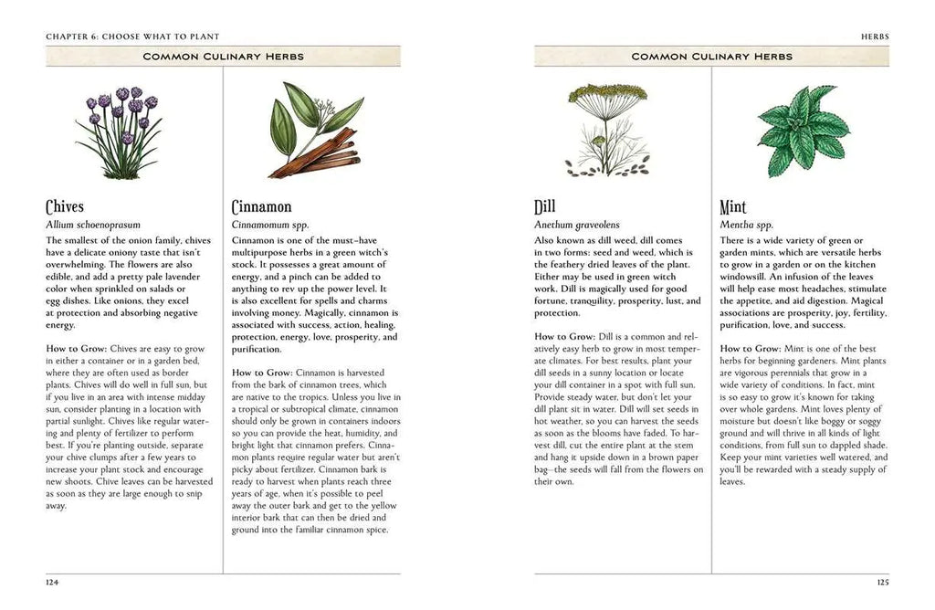 Green Witch's Garden by Arin Murphy-Hiscock: Hardcover; 224 pages / English Simon & Schuster