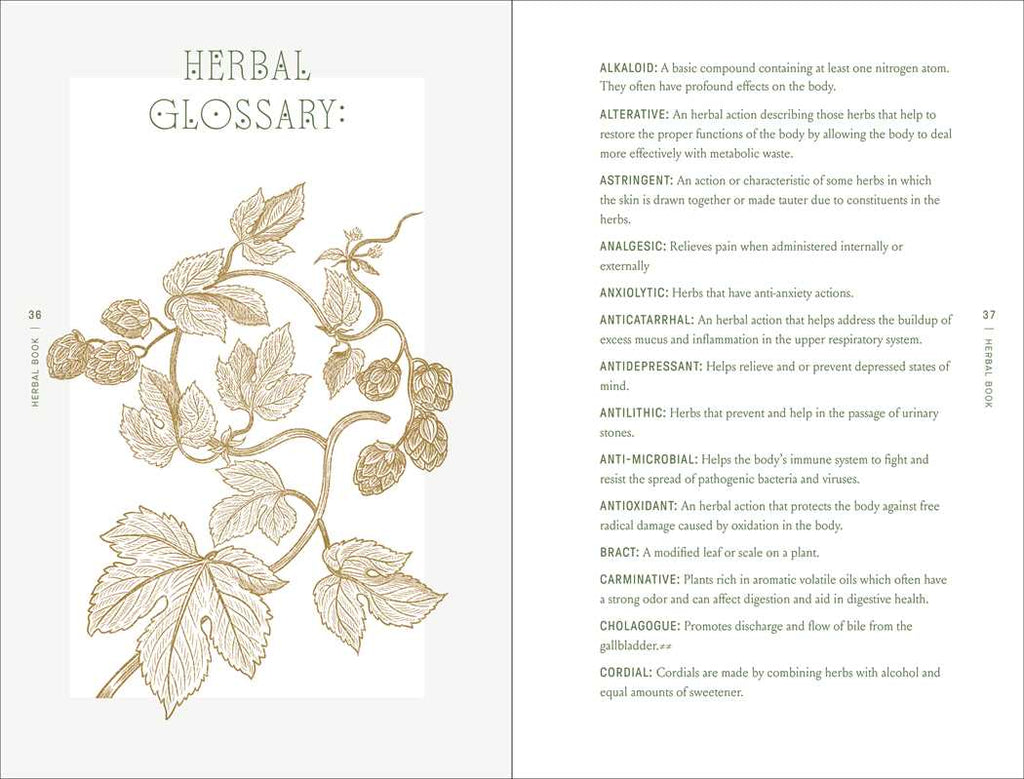 Complete Folk Herbal by Rebecca Beyer: Hardcover; 384 pages / English - Luna & Co. SoaperyHerbs & BotanicalsSimon & SchusterLuna & Co. Soapery