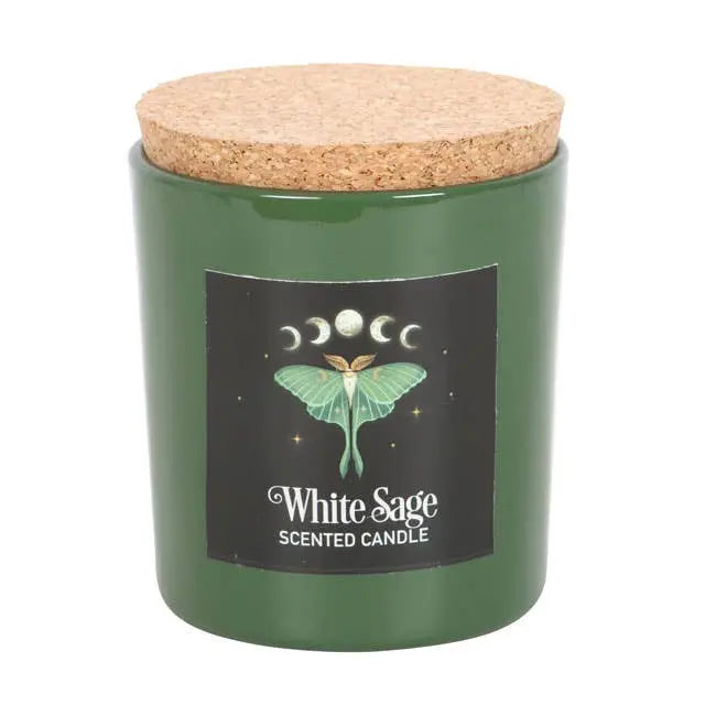 Luna Moth White Sage Candle Something Different Wholesale