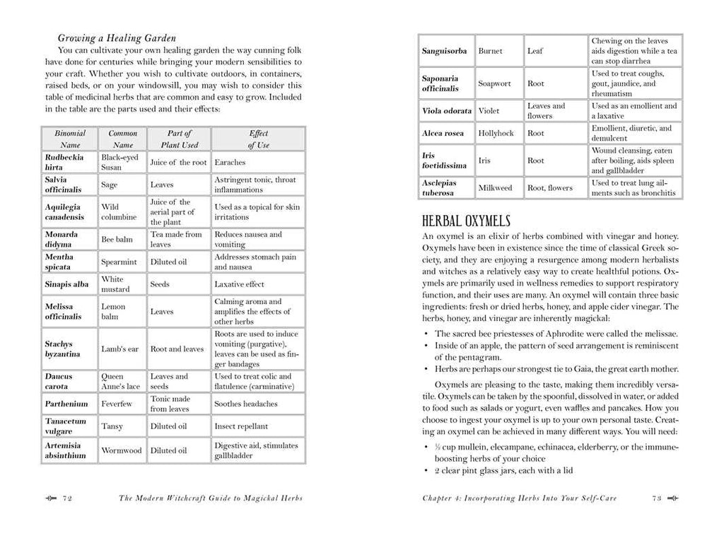 A two-page spread from *Modern Witchcraft Guide to Magickal Herbs* by Judy Ann Nock (Hardcover, Simon & Schuster) lists magickal herbs with names, uses, and planetary ties, plus a herbal oxymel recipe key for herbal magic on the right page.