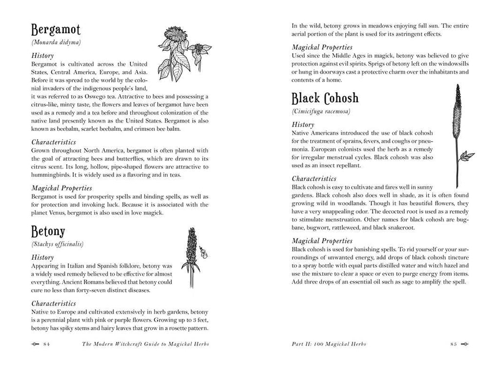 The Modern Witchcraft Guide to Magickal Herbs by Judy Ann Nock (Hardcover, 240 pages; Simon & Schuster) offers descriptions, history, uses, and magical properties of herbs like Bergamot and Betony, with botanical illustrations.