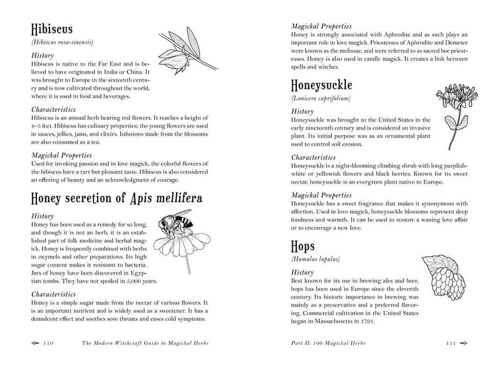 Discover botanical illustrations and descriptions of Hibiscus, Apis mellifera honey, Honeysuckle, and Hops in the Modern Witchcraft Guide to Magickal Herbs by Judy Ann Nock (Simon & Schuster), exploring their magickal uses in herbal magic.