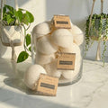 Natural Konjac Facial Cleansing Sponge | Earth Day Best: Seafoam Green - Luna & Co. SoaperyBamboo SwitchLuna & Co. Soapery