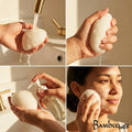 Natural Konjac Facial Cleansing Sponge | Earth Day Best: Seafoam Green - Luna & Co. SoaperyBamboo SwitchLuna & Co. Soapery